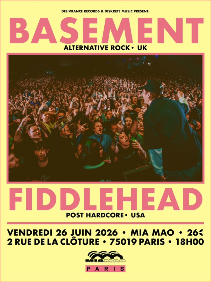 Basement + Fiddlehead + Guest